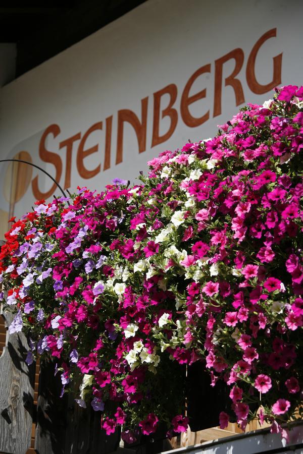 אולטימו Pension Steinberg מראה חיצוני תמונה